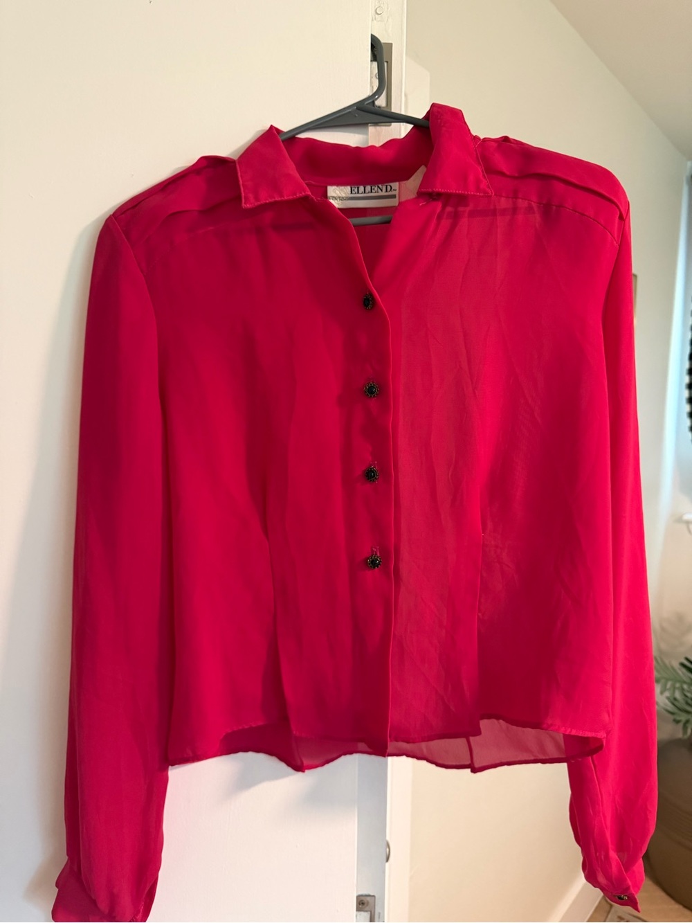 Ellen D. Vintage Fuchsia Sheer Button-Up Blouse